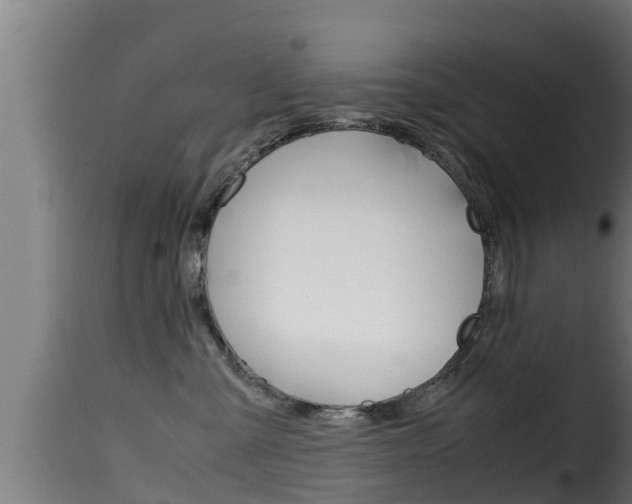 X0000116100427200911230936