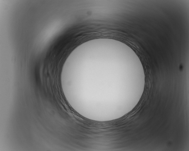 X0000116100429200911230936