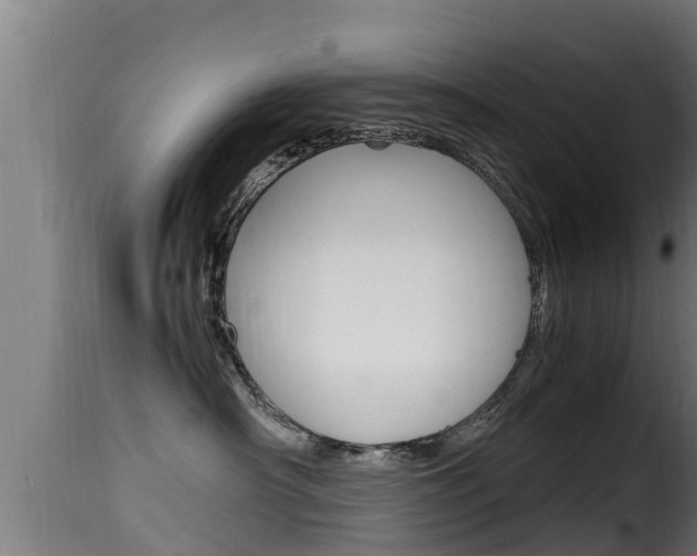 X0000116100430200911230936