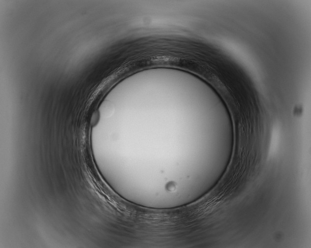 X0000116100435200911230935