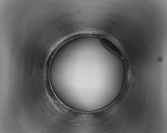 X0000116100436200911230935