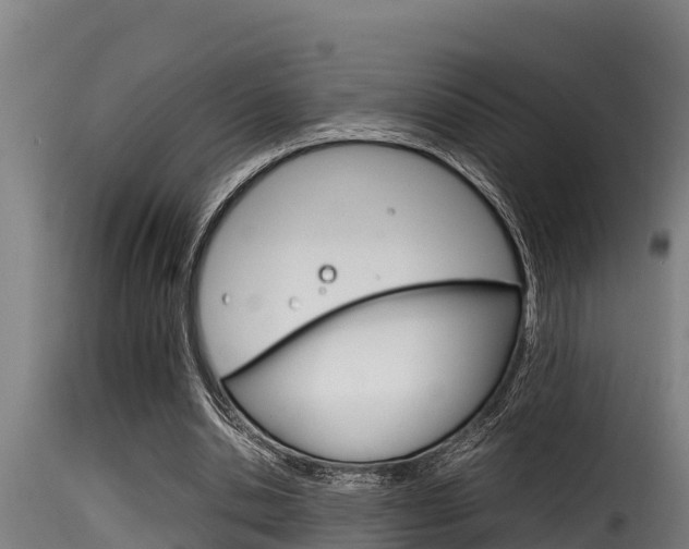 X0000116100438200911230935