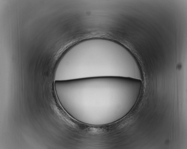 X0000116100442200911230935