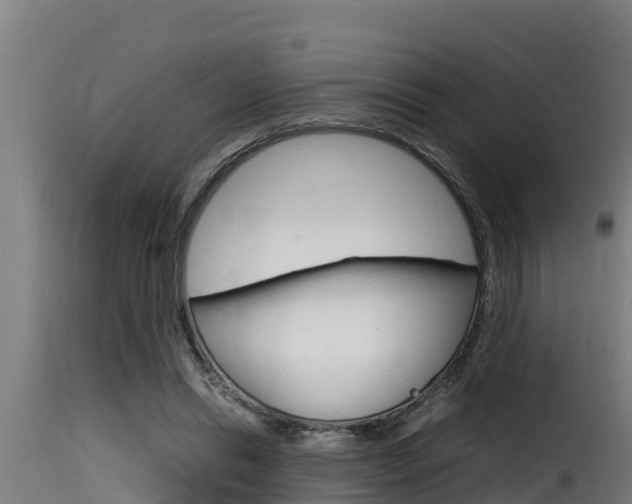 X0000116100446200911230935