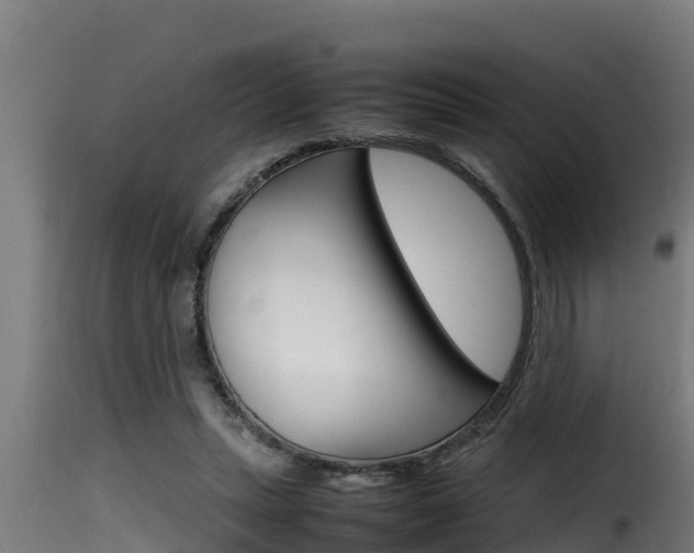 X0000116100447200911230935