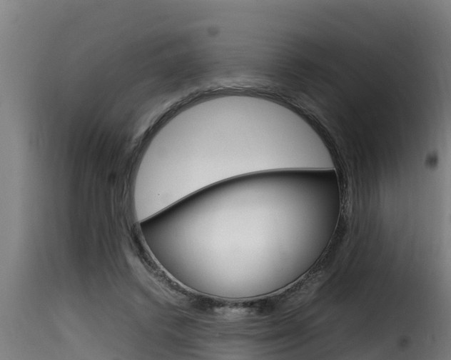 X0000116100448200911230935