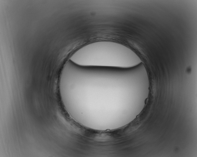 X0000116100451200911230936