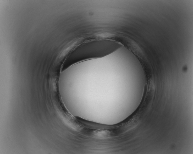 X0000116100452200911230936