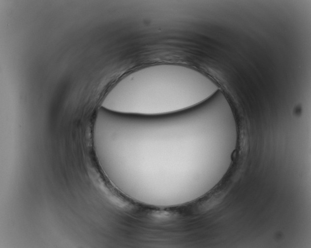 X0000116100453200911230936