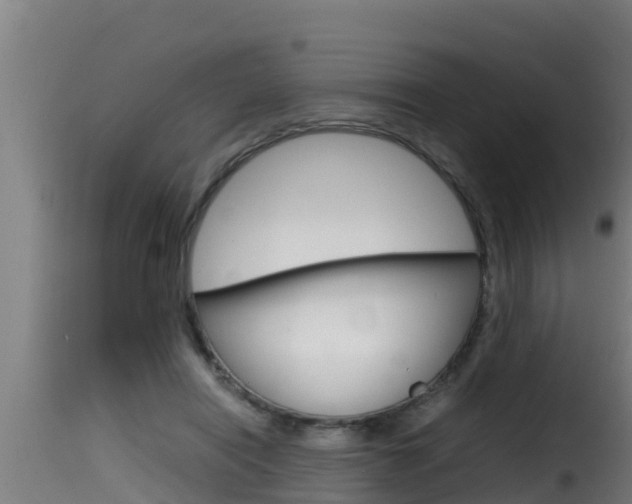 X0000116100454200911230936