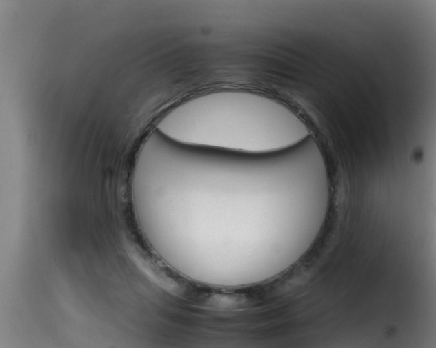 X0000116100455200911230936