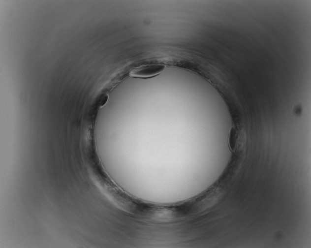 X0000116100456200911230936