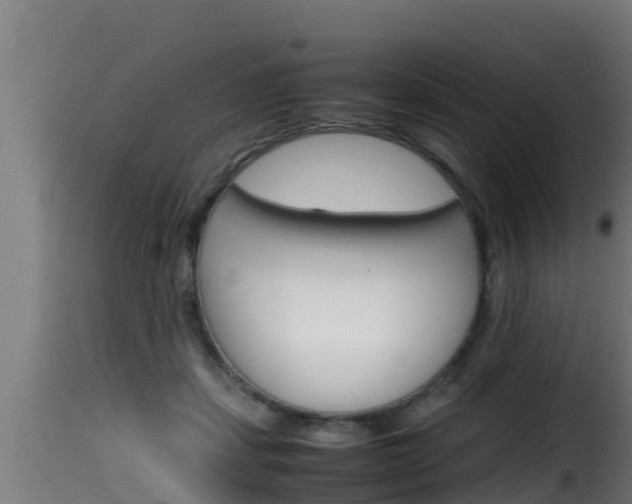 X0000116100459200911230936