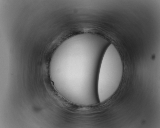 X0000116100461200911230936