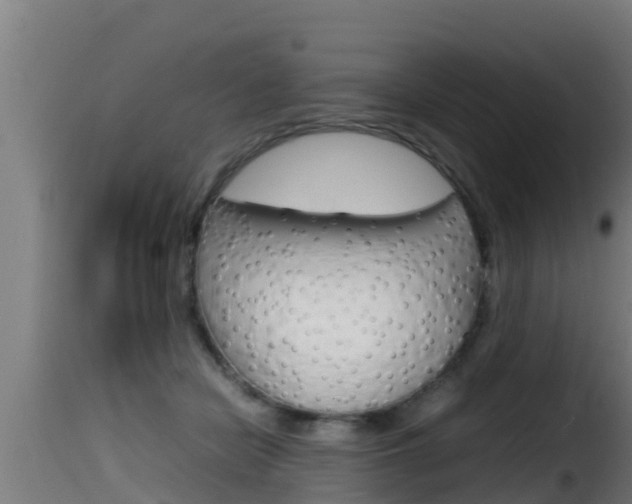 X0000116100462200911230936