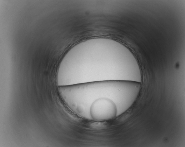 X0000116100465200911230936