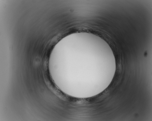X0000116100468200911230936