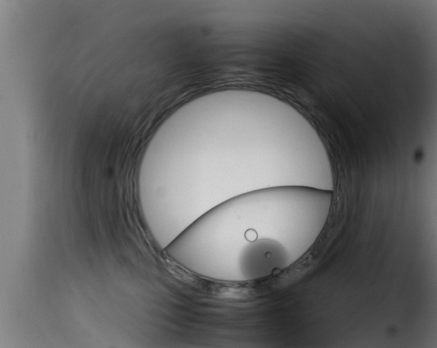 X0000116100471200911230936
