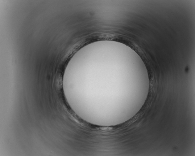 X0000116100474200911230936