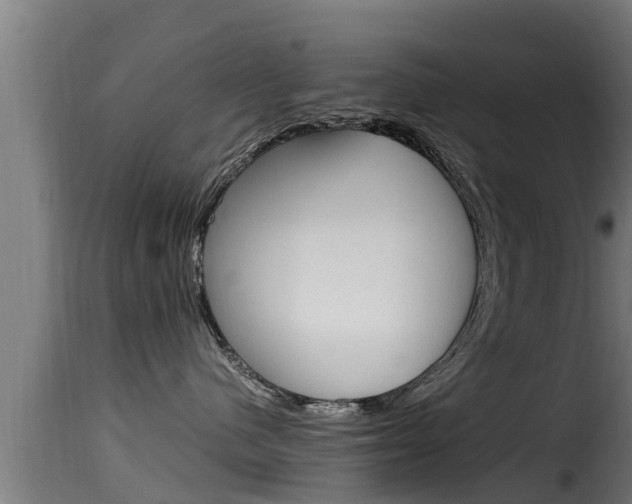 X0000116100480200911230936