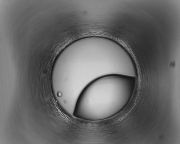 X0000116100481200911230935