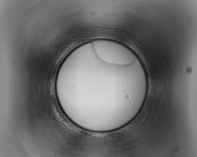 X0000116100482200911230935