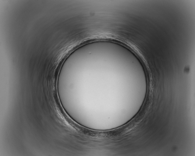 X0000116100485200911230935