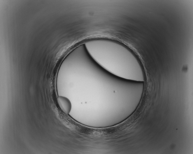 X0000116100487200911230935