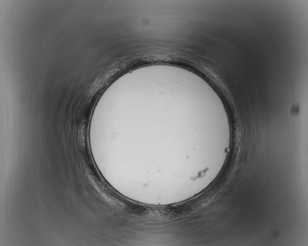 X0000116100489200911230935