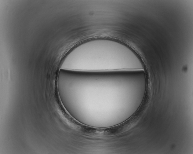 X0000116100493200911230935
