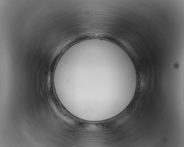 X0000116100494200911230935