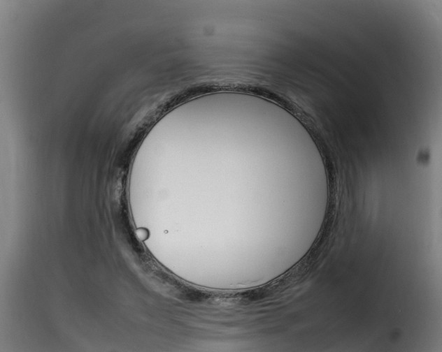 X0000116100495200911230935