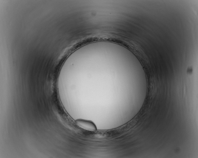 X0000116100496200911230935