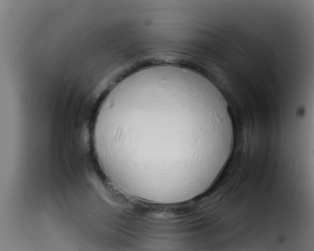 X0000116100500200911230935