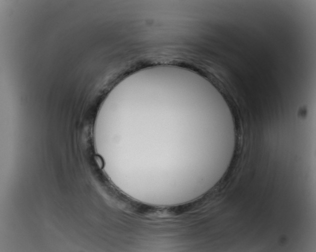 X0000116100503200911230935
