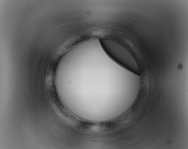X0000116100504200911230935
