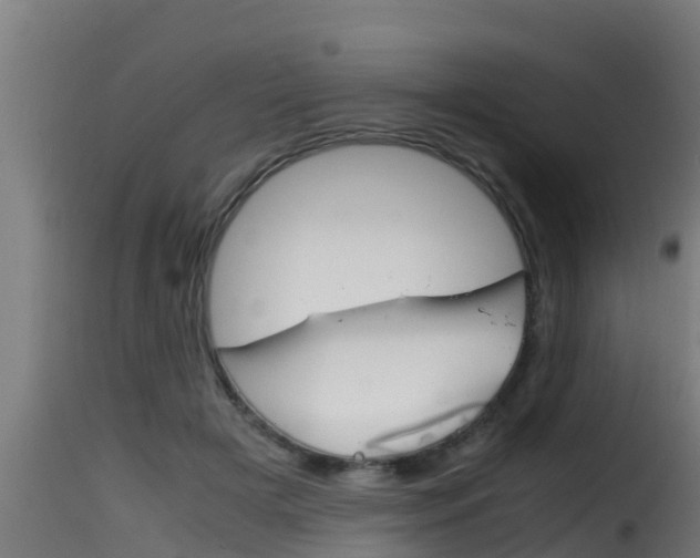 X0000116100505200911230935
