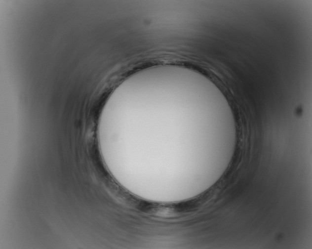 X0000116100507200911230935