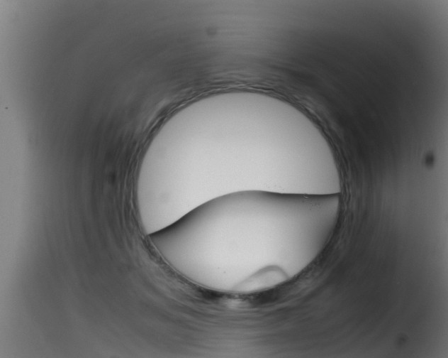 X0000116100509200911230935