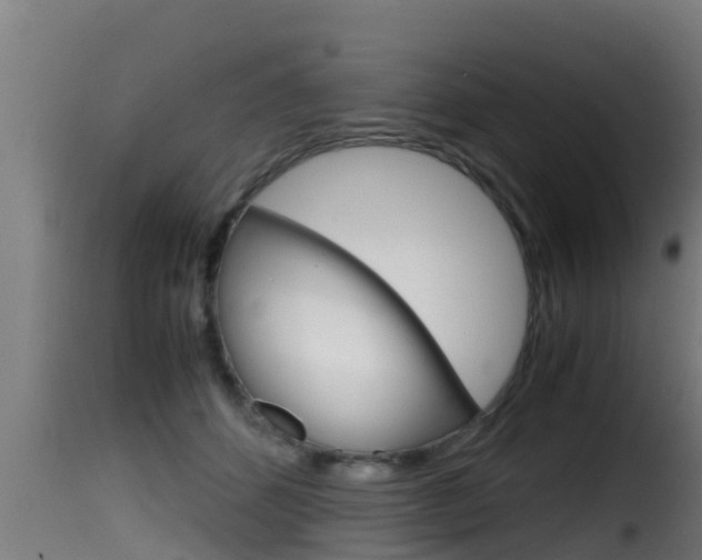 X0000116100512200911230935