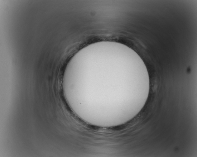 X0000116100515200911230935