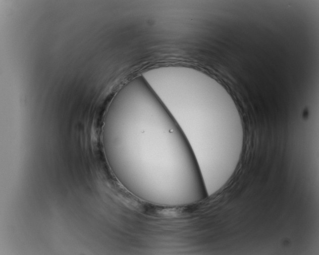 X0000116100516200911230935