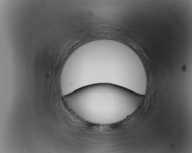 X0000116100517200911230935
