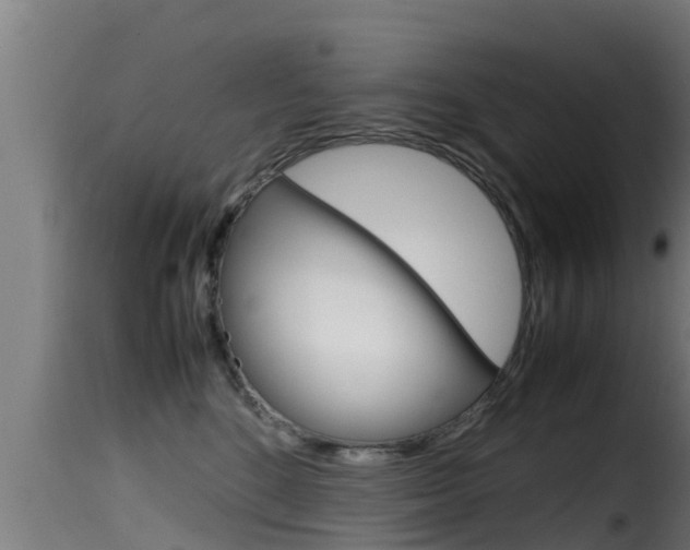 X0000116100520200911230935