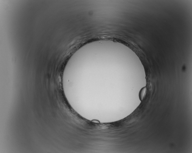 X0000116100523200911230935