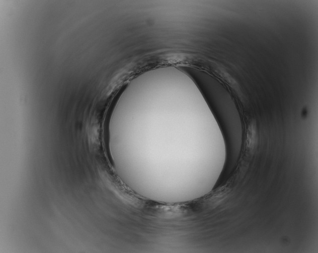 X0000116100524200911230935