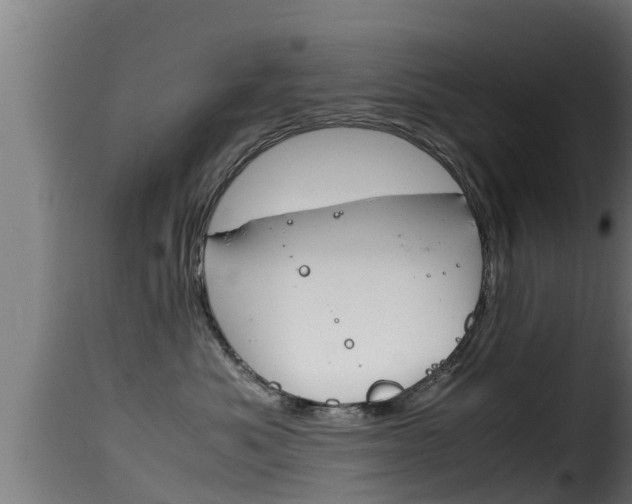 X0000116100525200911230935