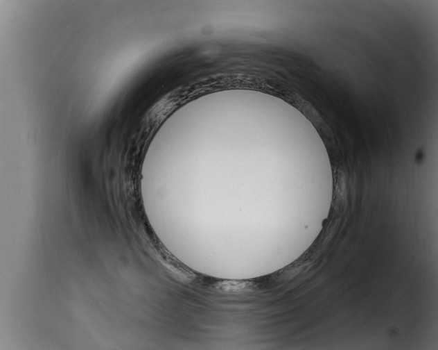 X0000116100526200911230934