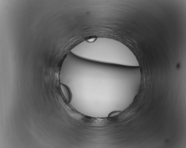 X0000116100527200911230934