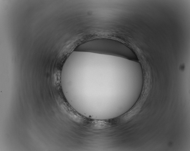 X0000116100528200911230934